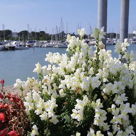 A Schiera Con Uso Piscina Casa de Férias Aprilia Marittima